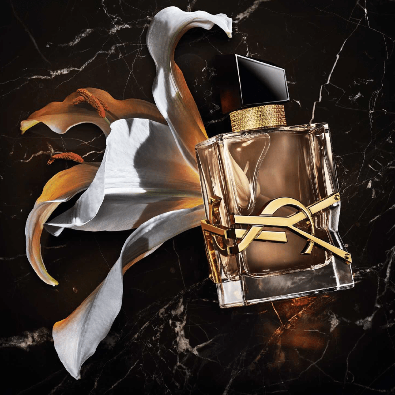 إيف سان لوران ليبر فلاورز اند فلامز أو دي بارفيوم فلورال 90مل - الصورة 3