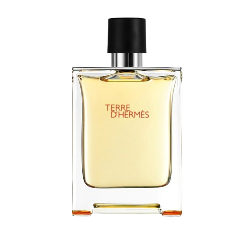 هيرمس تيري دي هيرمس او دي تواليت 100مل