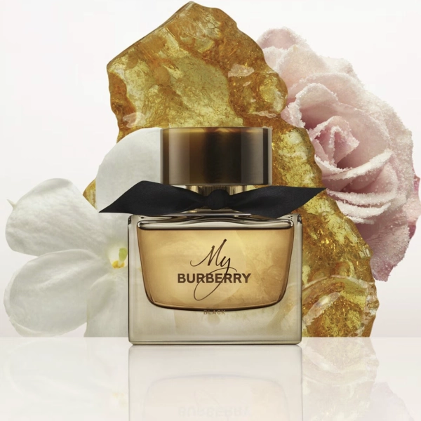 بربري ماي بربري بلاك بارفيوم 90مل - الصورة 3