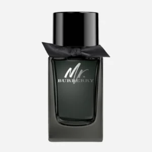 بربري مستر بربري او دي بارفيوم 100مل