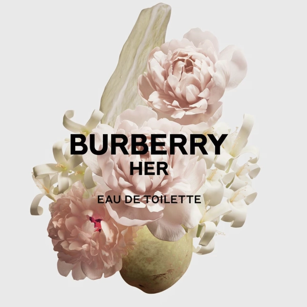 بربري هير او دي تواليت 100مل - الصورة 4