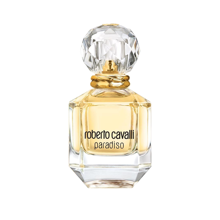 روبرتو كافالي مجموعة - قطعتين