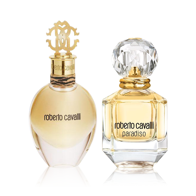 روبرتو كافالي مجموعة - قطعتين